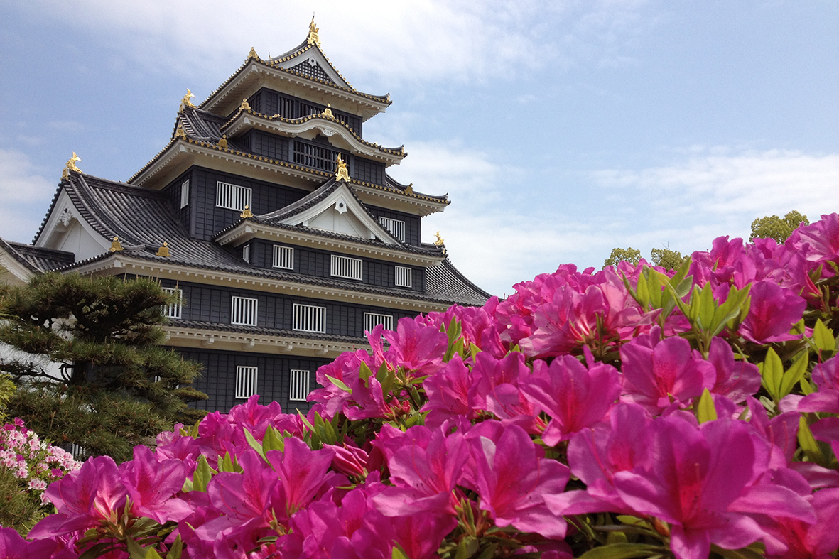 Le château d'Okayama