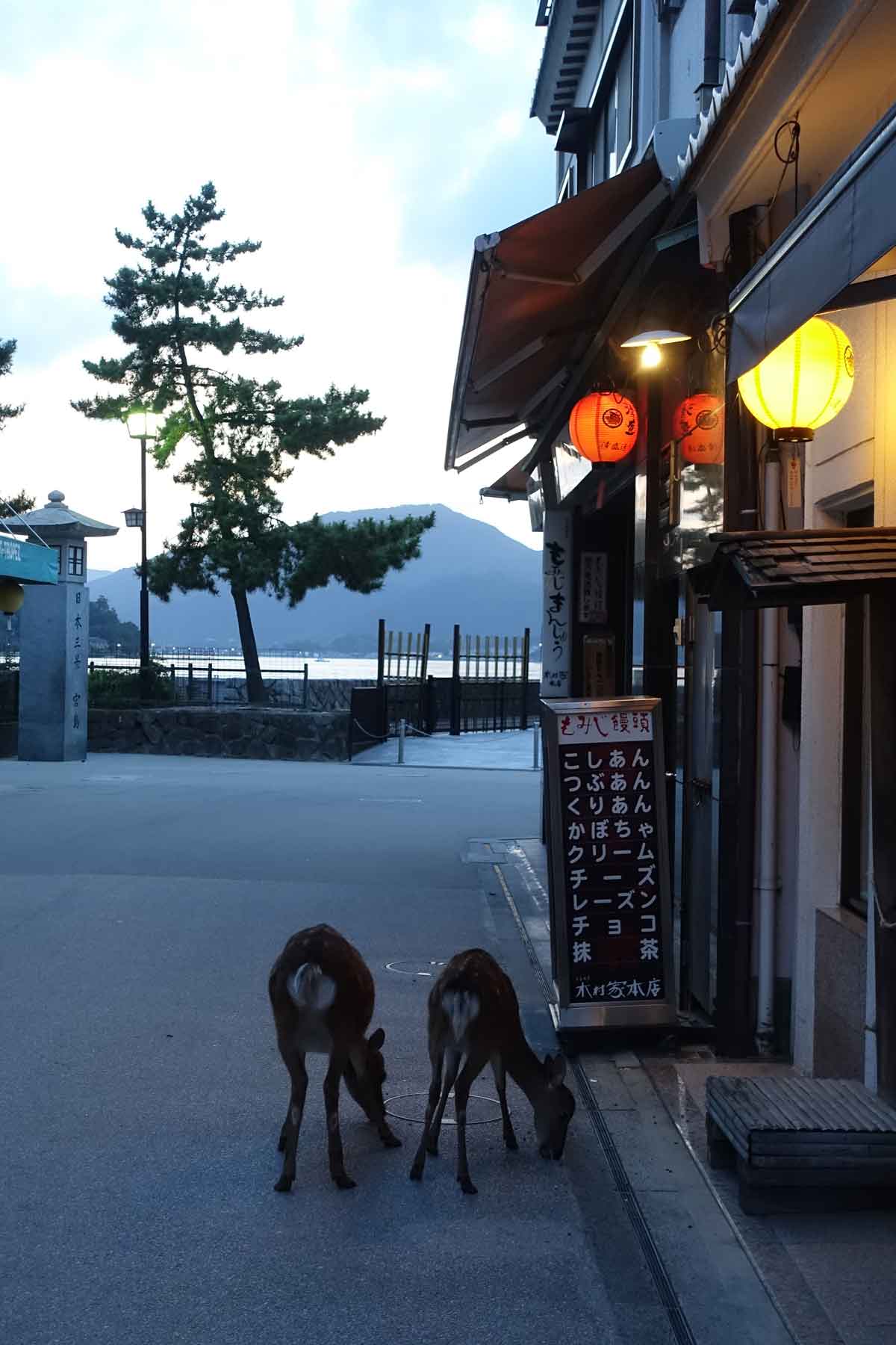 miyajima à la tombée de la nuit