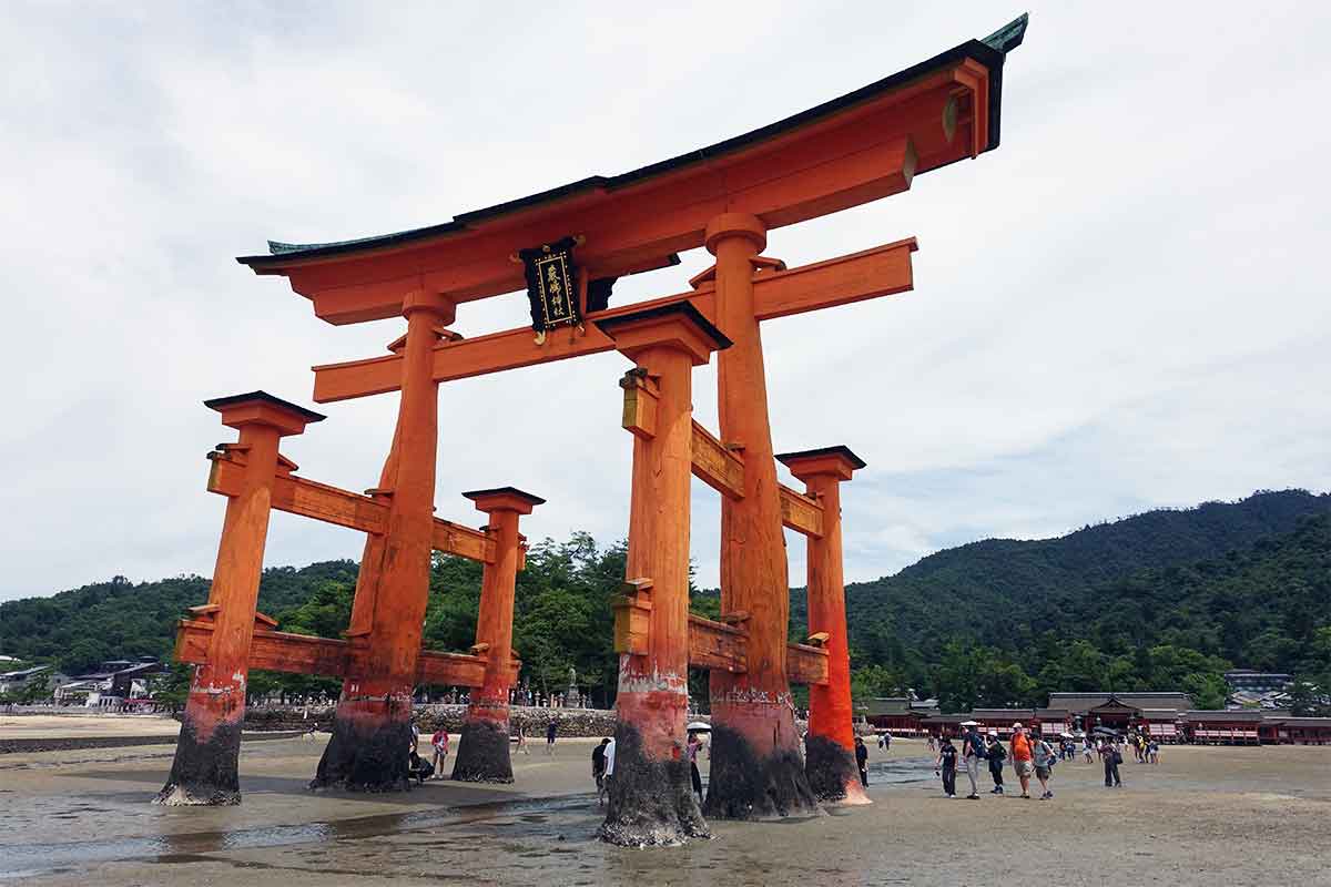 Tori ate à marée basse à Miyajima au Japon