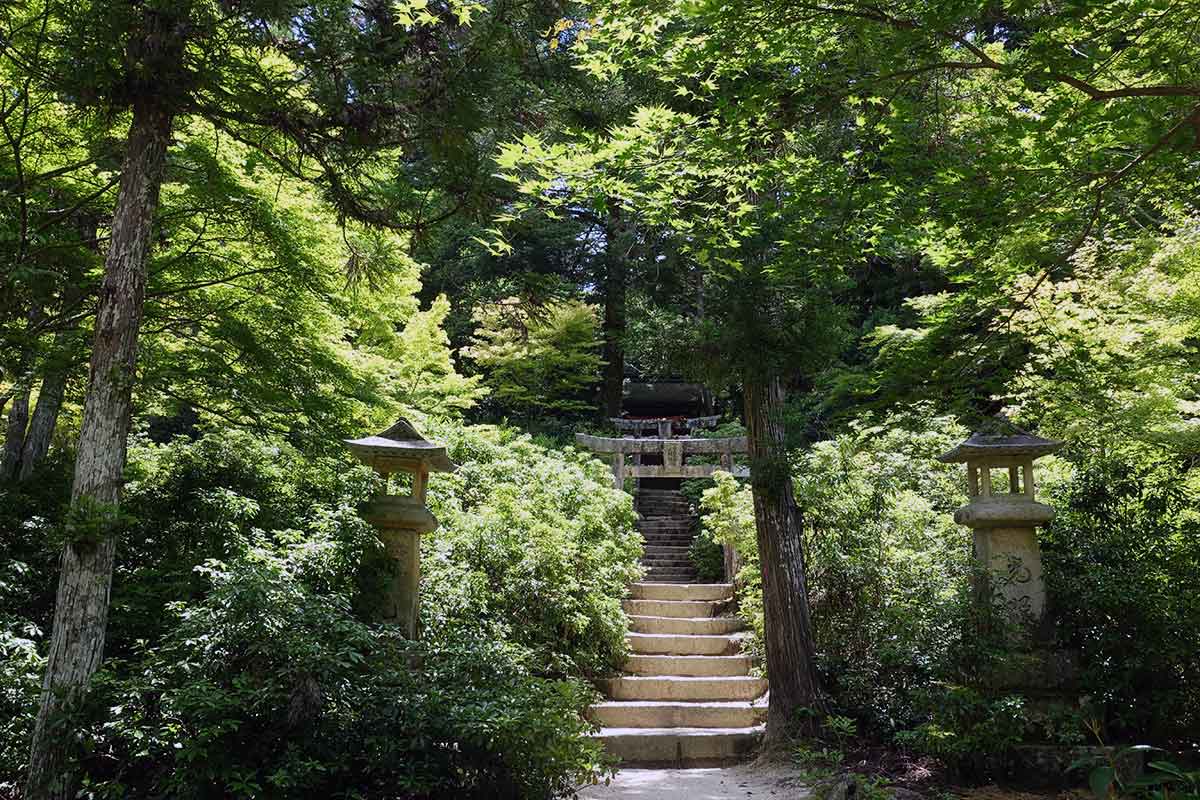 parc momijidani à Miyajima