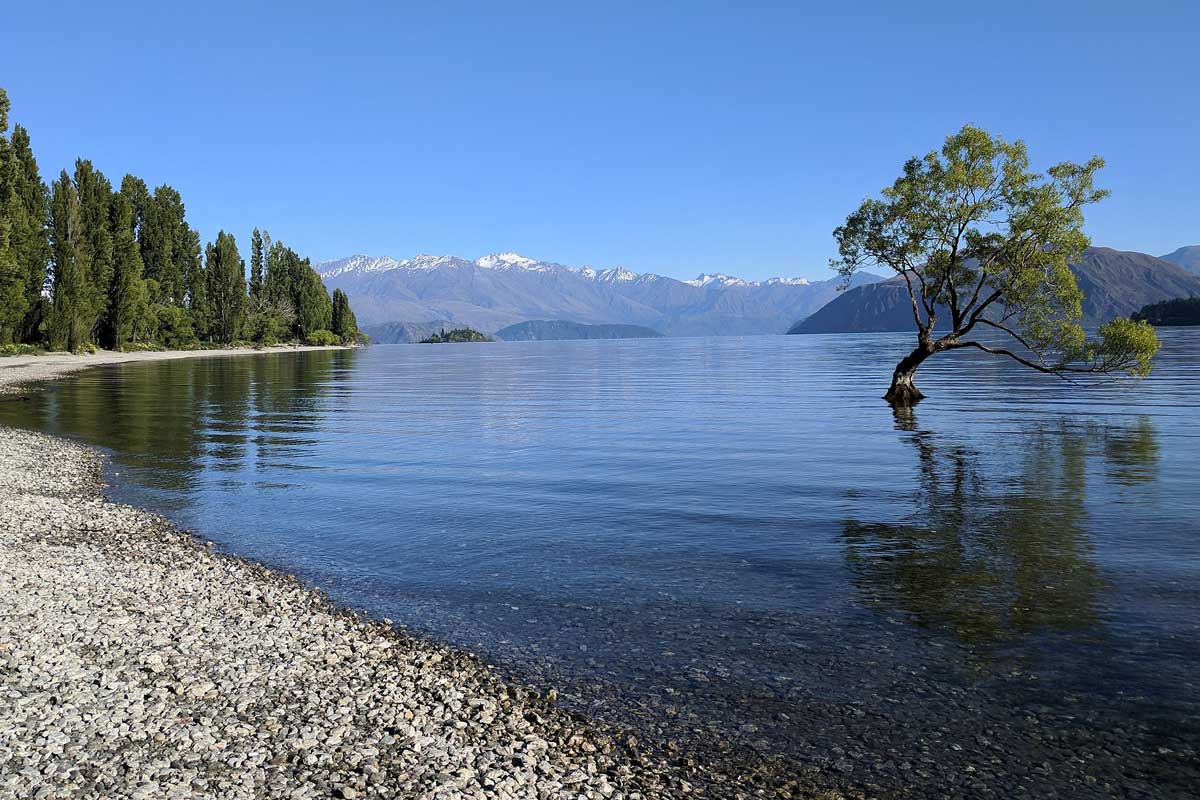 l'arbre solitaire sur le lac de wanaka ile du sud nouvelle zelande