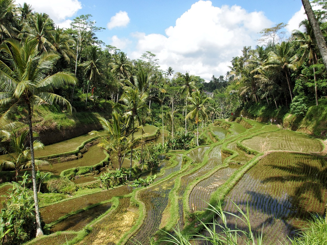 ubud bali