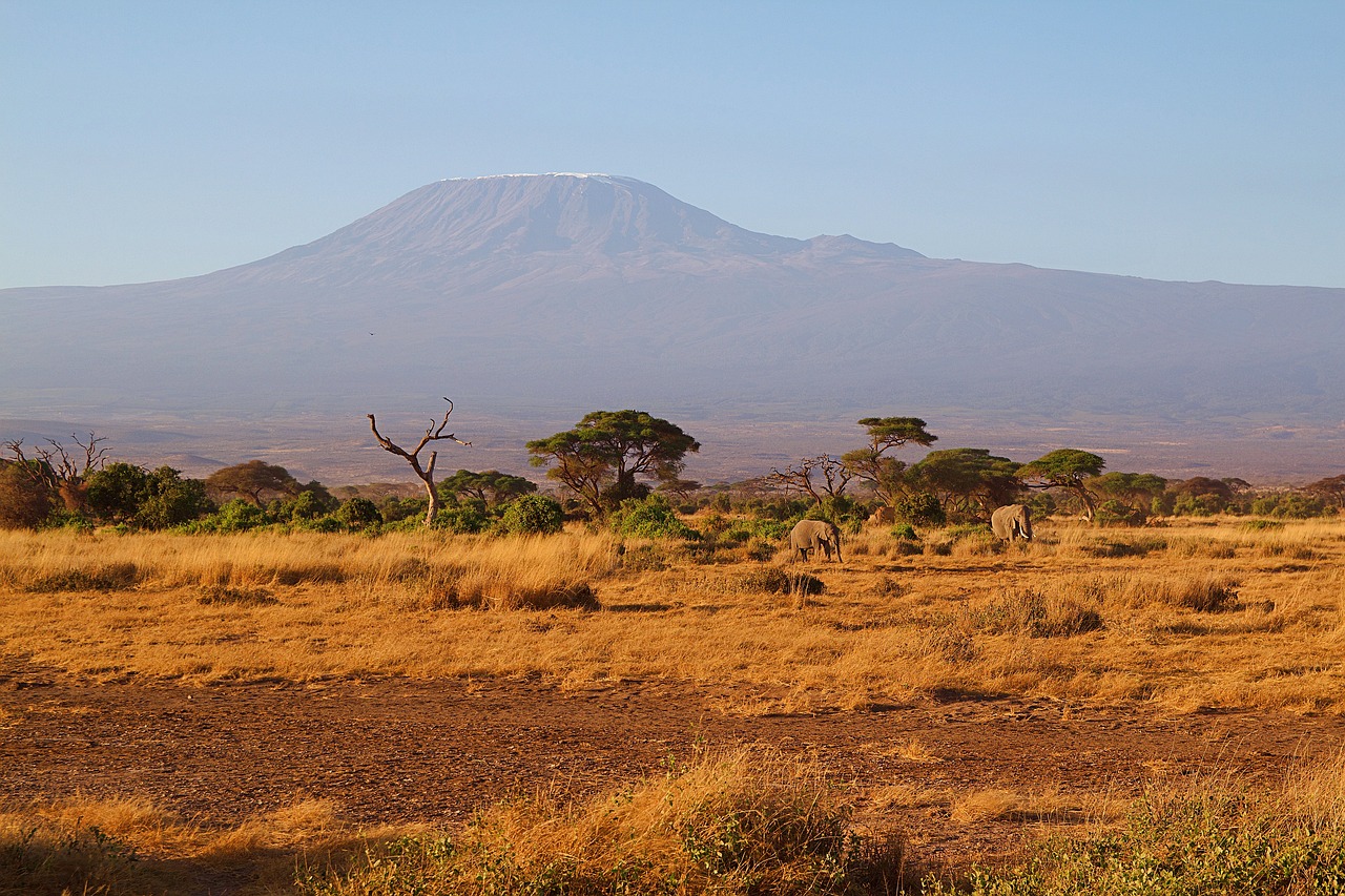 kilimandjaro