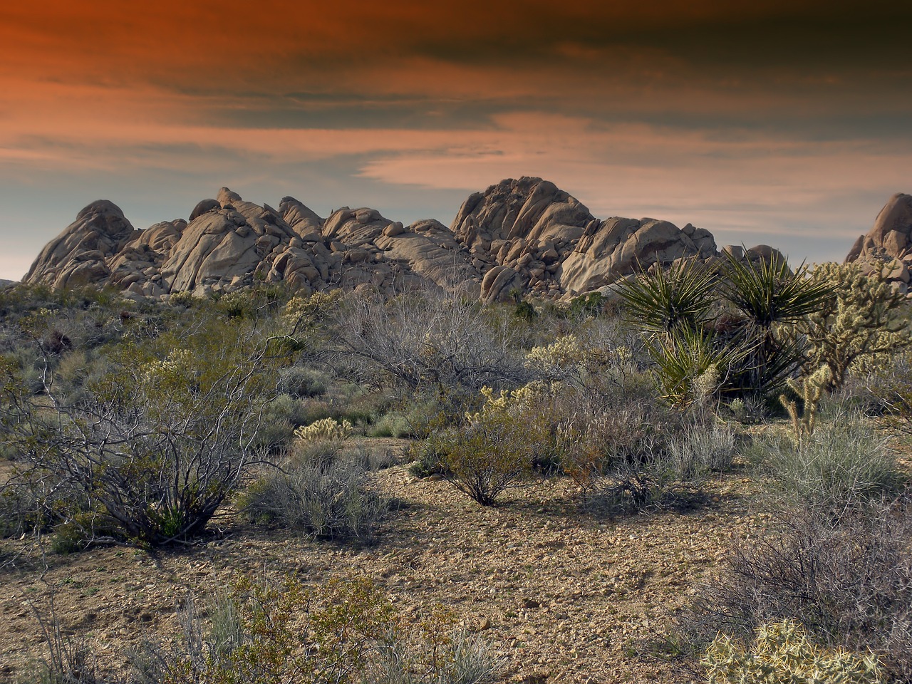 désert mojave, californie