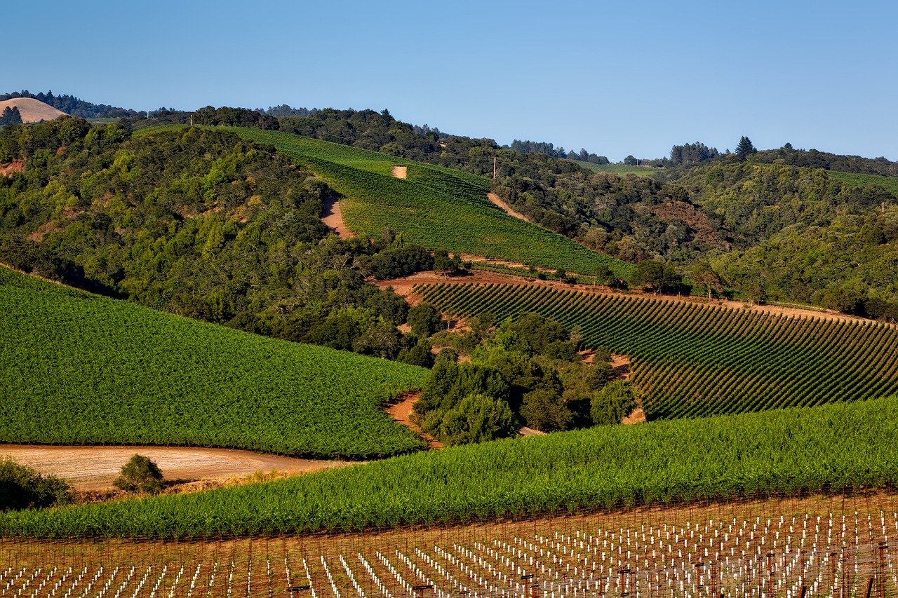  Napa Valley