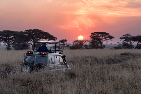 Voyage de noces kenya