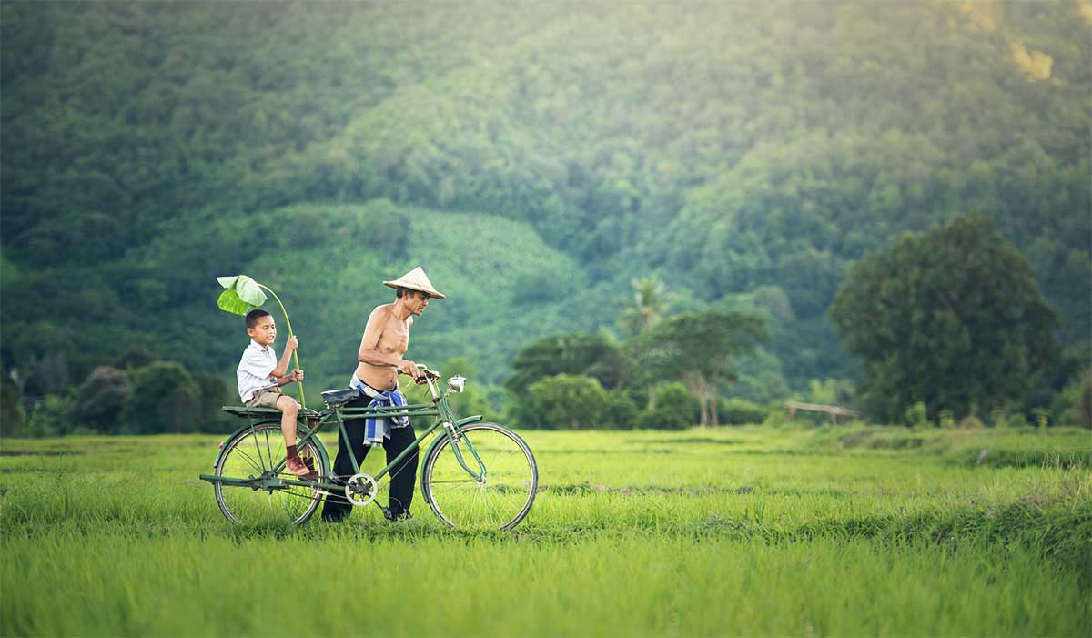 homme et son fils en velo dans les rizieres au Cambodge