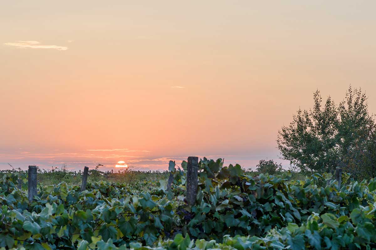 Coucher de soleil en Moldavie