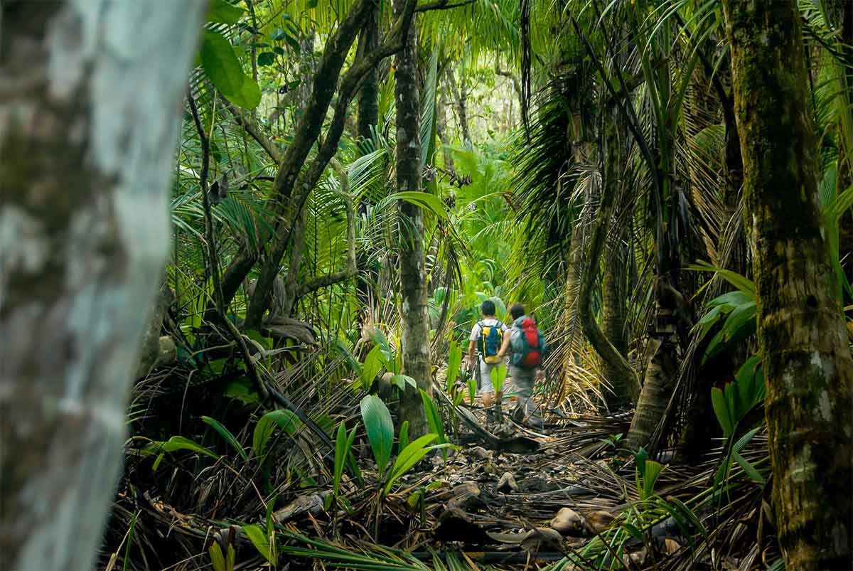 2 randonneurs -foret tropicale de corcovado - costa rica