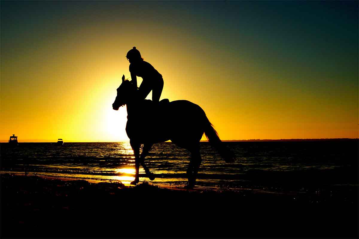 cheval sur la plage au costa rica