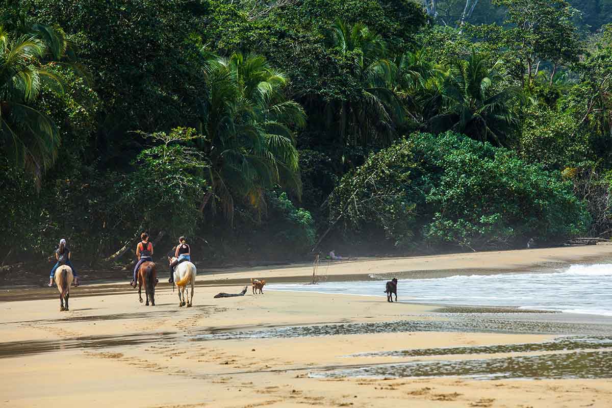 Balade à cheval sur la plage 