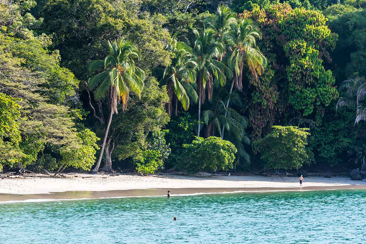 Plage tropical Manuel Antonio