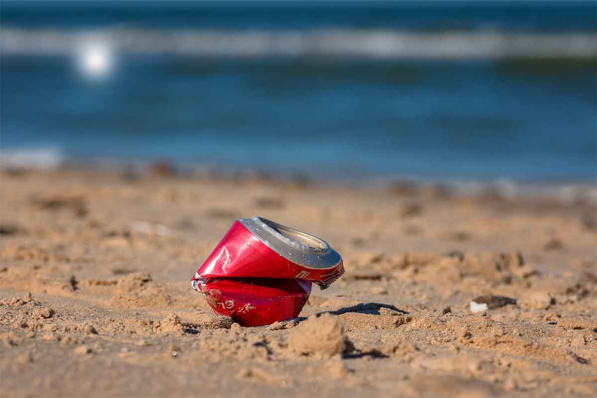 canette sur la plage 