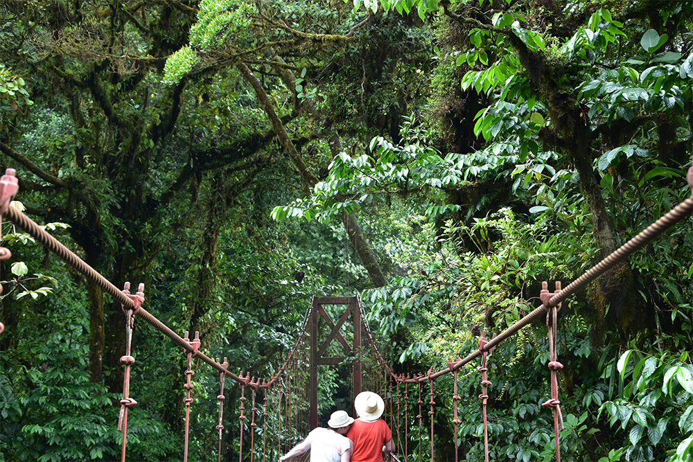 Costa Rica pont suspendu