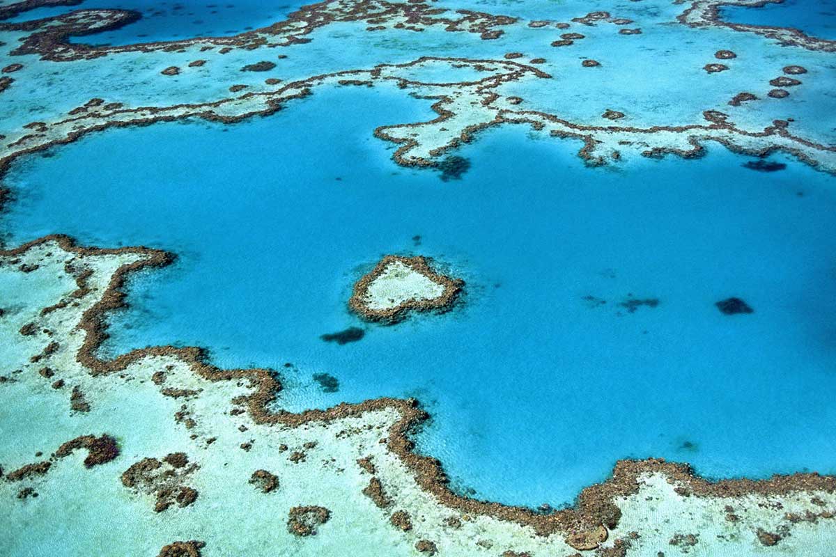 la grande barrière de Corail en Australie